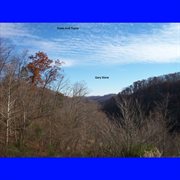 Foxes and trains cover image