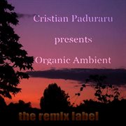 Organic ambient (progressive chillout music album for christmas season) cover image