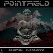 Spiritual experience cover image