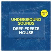 Deep freeze house - underground sounds, vol. 15 cover image