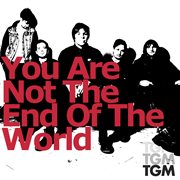 You are not the end of the world cover image