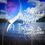 Wonderful world: a tribute to sam cooke cover image