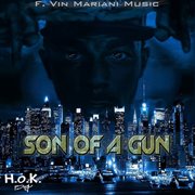 Son of a gun cover image