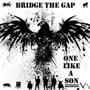 Bridge the gap cover image