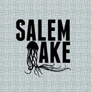 Salem lake - single cover image