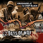 12 days of war cover image