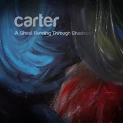 A ghost running through shadows cover image