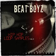 Hip hop loop samples vol 1 cover image