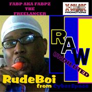 Rudeboi from cyberspace cover image