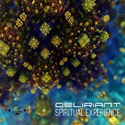 Spiritual experience cover image