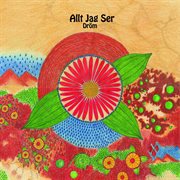 Drom - single cover image