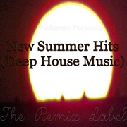 New summer hits (deep house music album compilation) cover image
