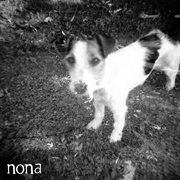 Split ep with nona & crow bait cover image