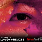 Love gone remixes cover image