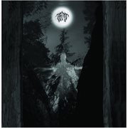 Amidst the trees cover image