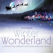 Winter wonderland cover image