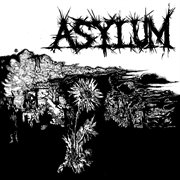 Asylum cover image
