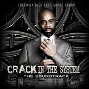 Crack in the system cover image