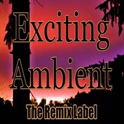 Exciting ambient (progressive chillout music album plus bonus megamix) cover image