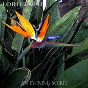 An evening soiree cover image