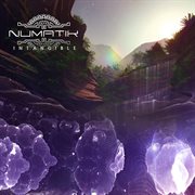 Intangible cover image