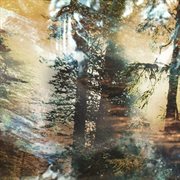 Split with deep magic, pine smoke lodge cover image