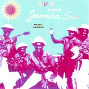 Fun under jamaica sun cover image
