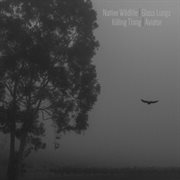 Nw/gl/kt/av cover image