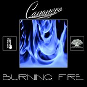 Burning fire cover image