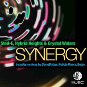 Synergy cover image