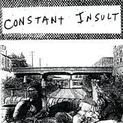 Constant insult cover image