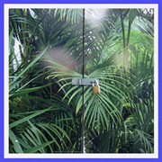 Midi pile cover image