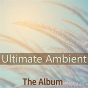 Ultimate ambient: the album cover image