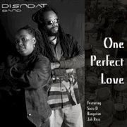 One perfect love cover image