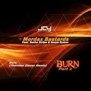 Burn, pt. 2 cover image