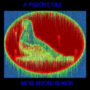 A pigeon's tale cover image