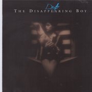 The disappearing boy cover image
