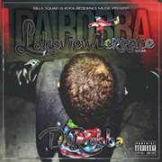 Lakeview terrace cover image