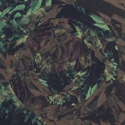 Treehut visions cover image