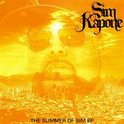The summer of sim cover image