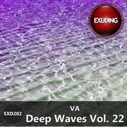 Deep waves, vol. 22 cover image