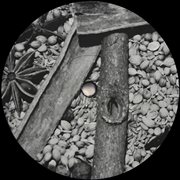 Burn finger cover image