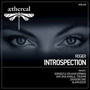 Introspection cover image