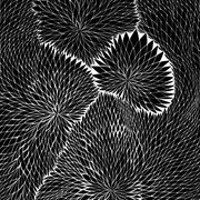 Neolithic extraction ئ the malo remixes cover image