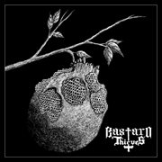Bastard thieves cover image