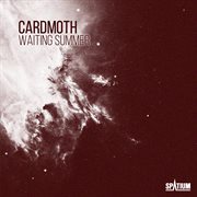 Waiting summer cover image