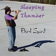 Bird spirit cover image