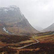 Native wildlife cover image