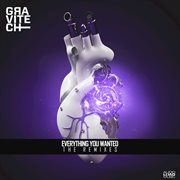 Everything you wanted (the remixes) cover image