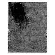 Fire in the sky cover image